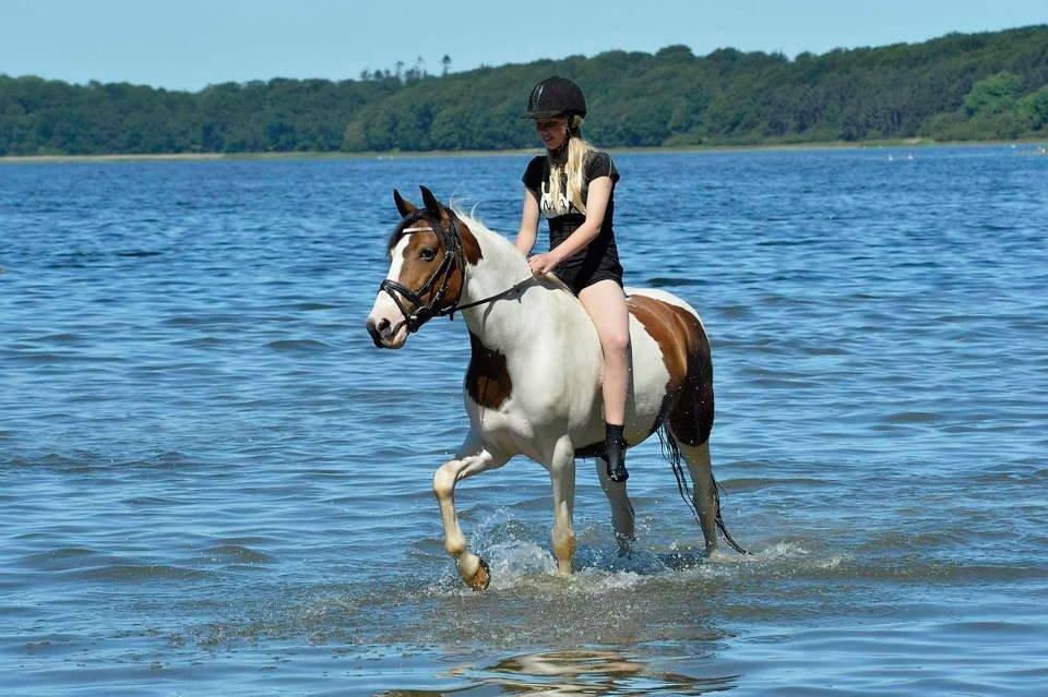 Anden særlig race Charissa (solgt) - 09.06.14 pinsetur<3  billede 6