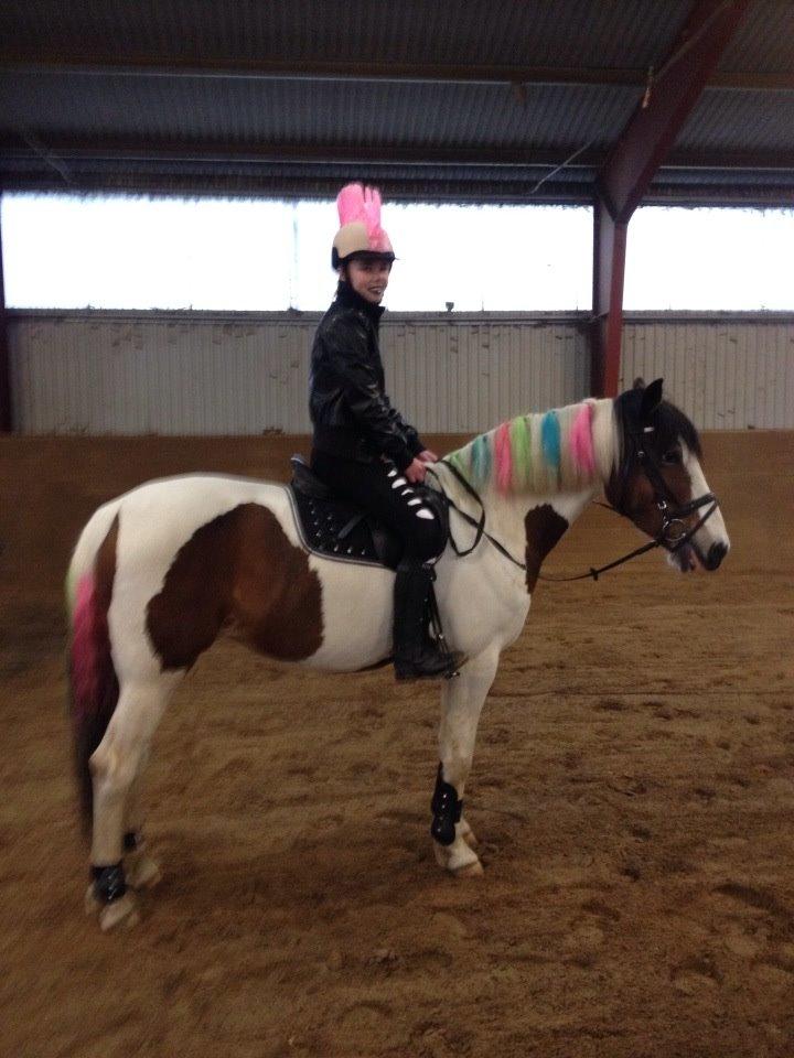 Anden særlig race Charissa (solgt) - 02.03.14 fastlavn <3 billede 8