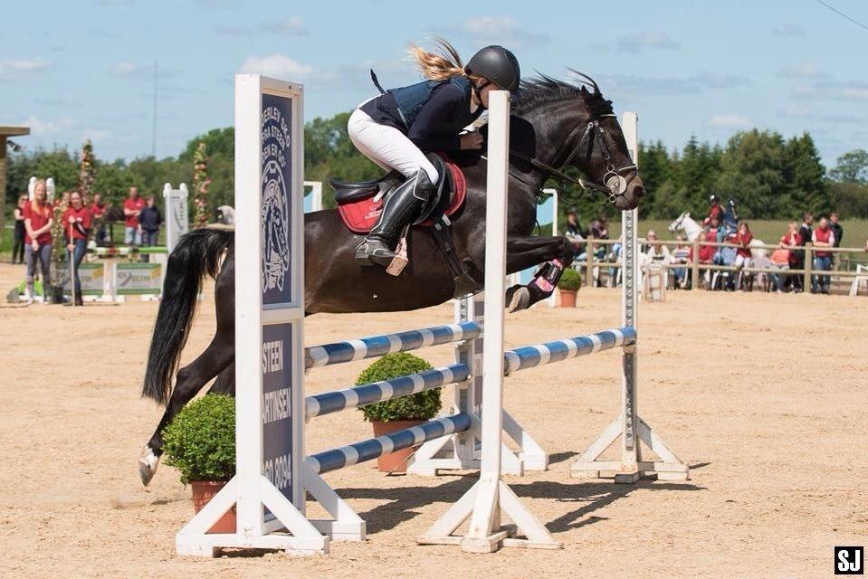 Anden særlig race Camilla! billede 1