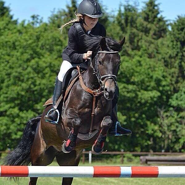 Anden særlig race Camilla! billede 6