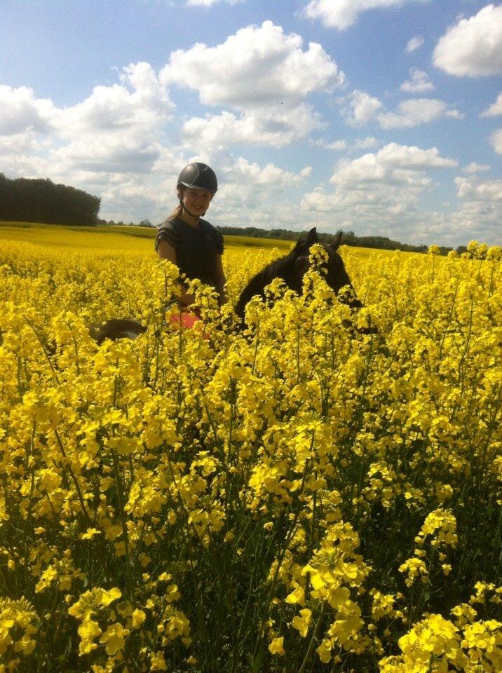 Anden særlig race Camilla! billede 7