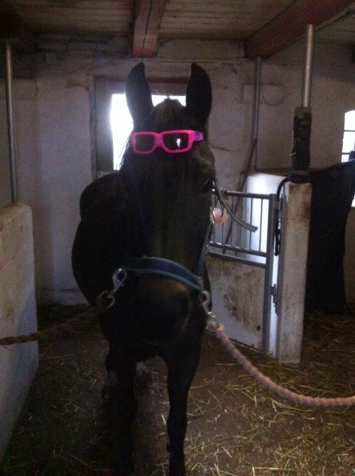 Anden særlig race Camilla! billede 8