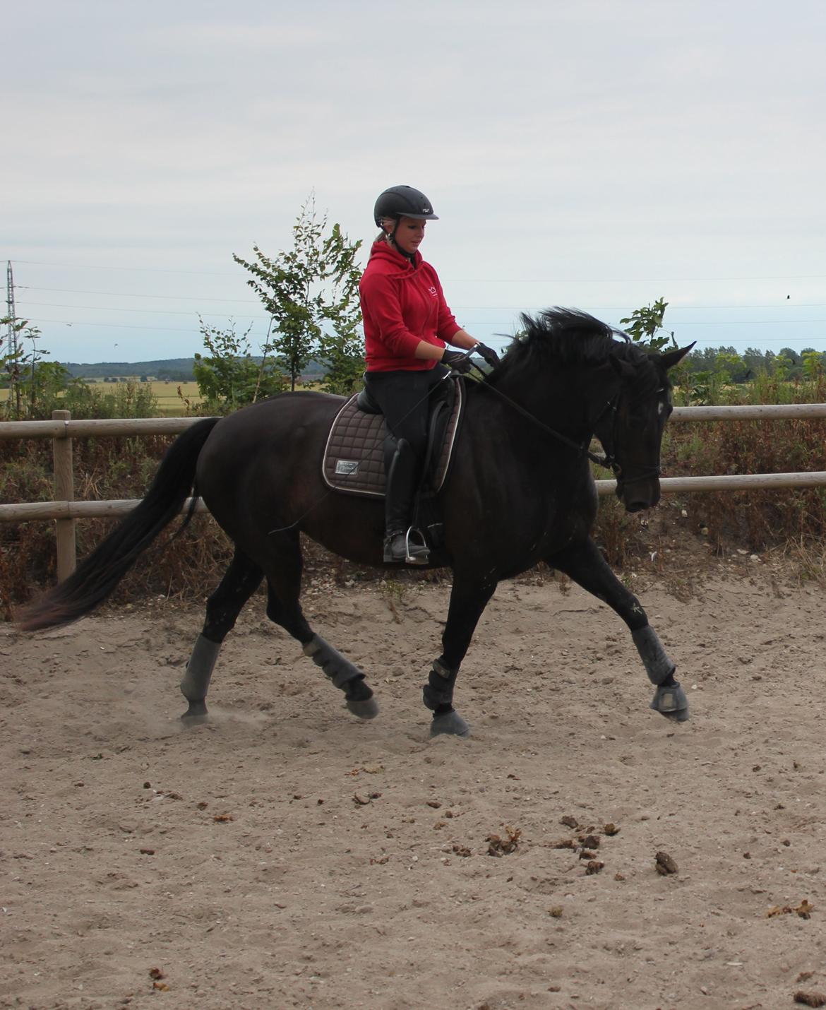 Oldenborg Flying Betty billede 3