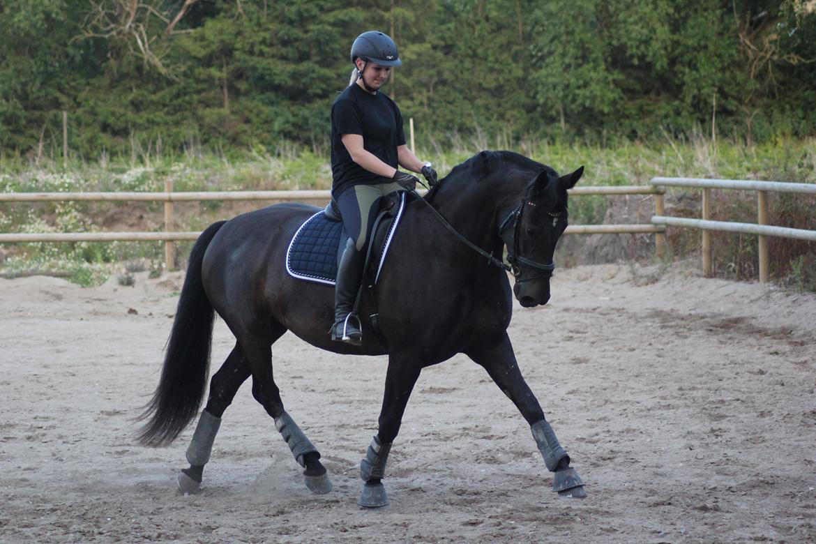 Oldenborg Flying Betty billede 8