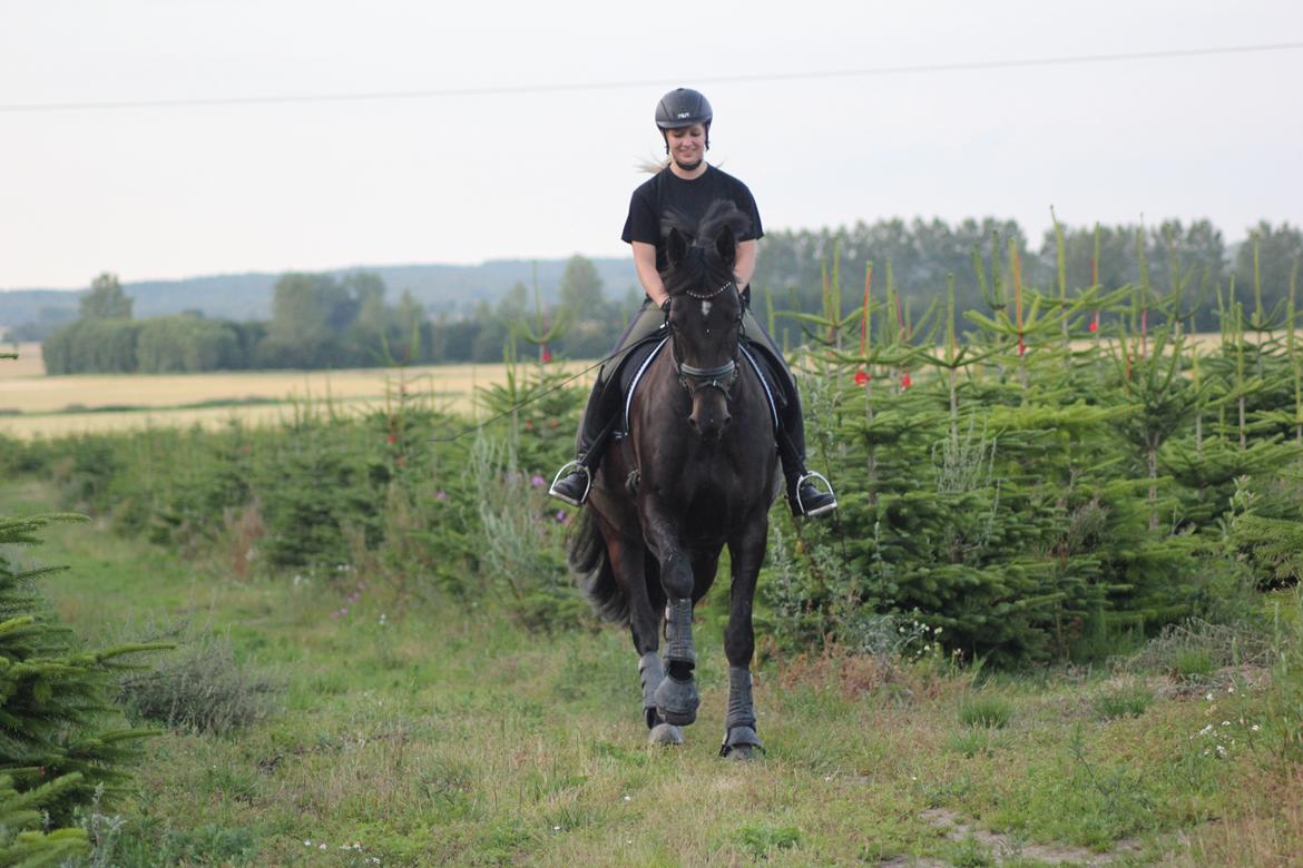 Oldenborg Flying Betty billede 11