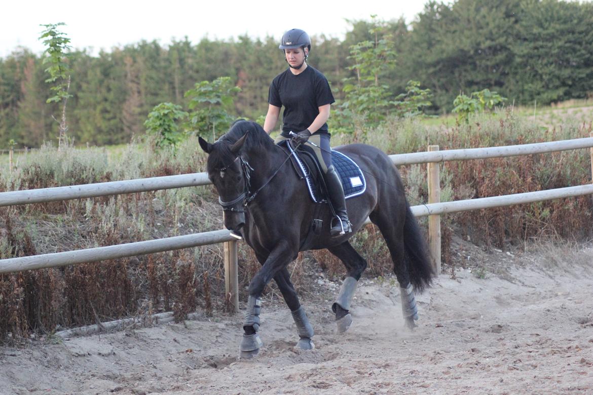 Oldenborg Flying Betty billede 14