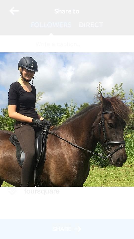 Islænder Bokki fra Hjulgården billede 1