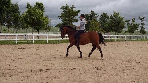 DSP Kenobi billede 14