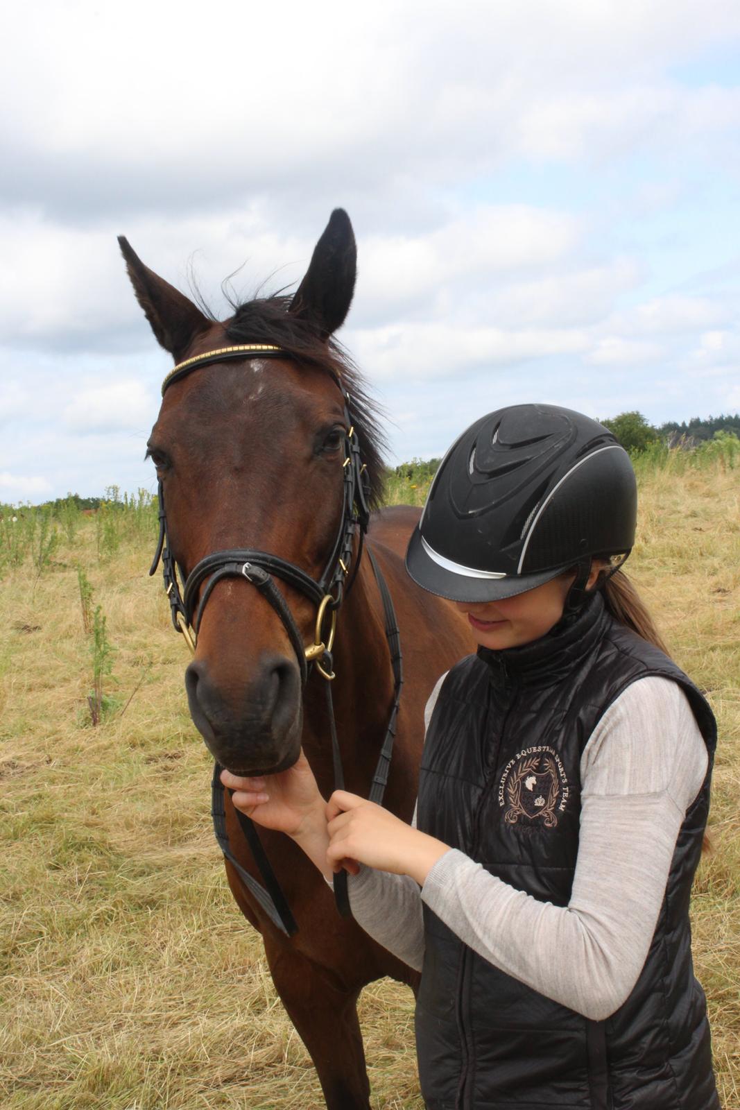 Dansk Varmblod Nødelunden´s Quite Temper/Flicka billede 3