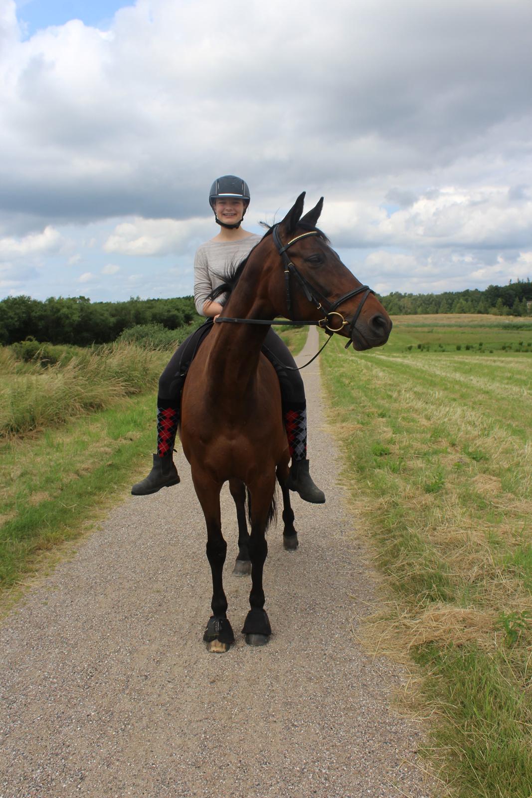 Dansk Varmblod Nødelunden´s Quite Temper/Flicka billede 9