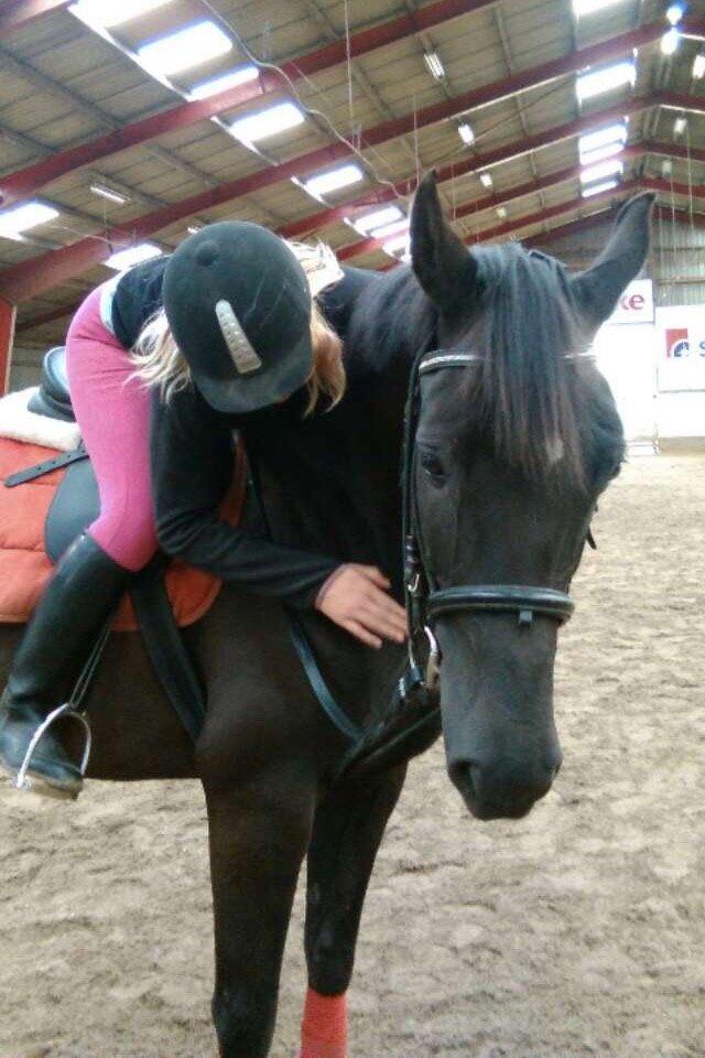 Anden særlig race Meulengracht`s Don Cordoba  billede 15