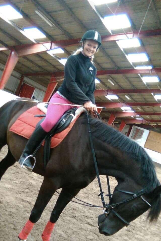 Anden særlig race Meulengracht`s Don Cordoba  billede 20