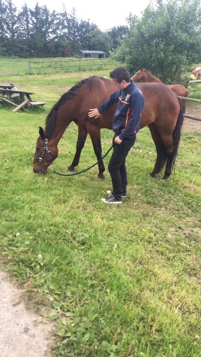 Traver Lady Barca billede 3