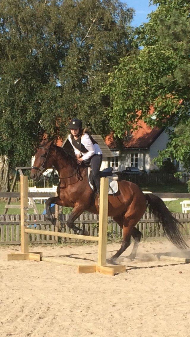 Traver Lady Barca billede 4