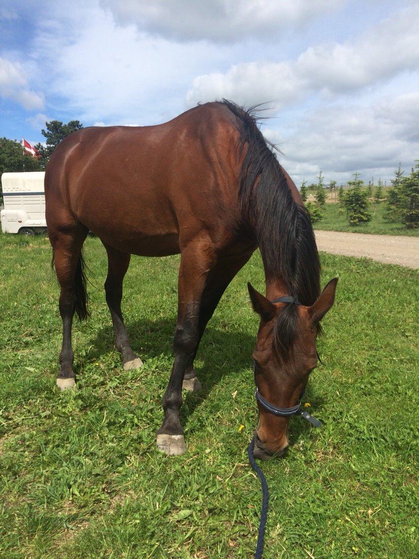 Traver Lady Barca billede 6