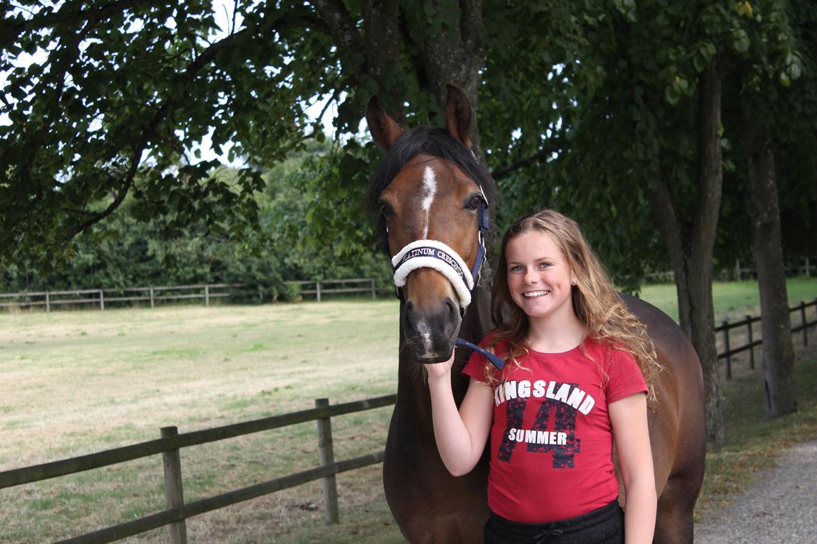 Anden særlig race Lotte (tidl pony..) billede 7