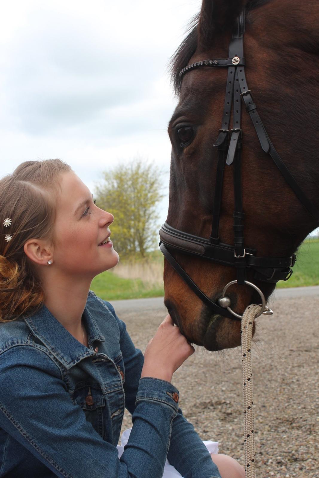 Pinto tell me billede 14