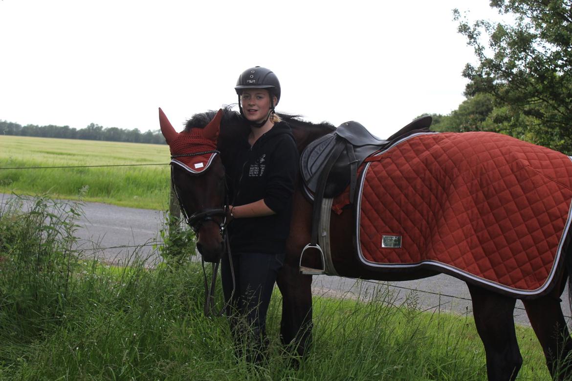 Pinto tell me billede 12