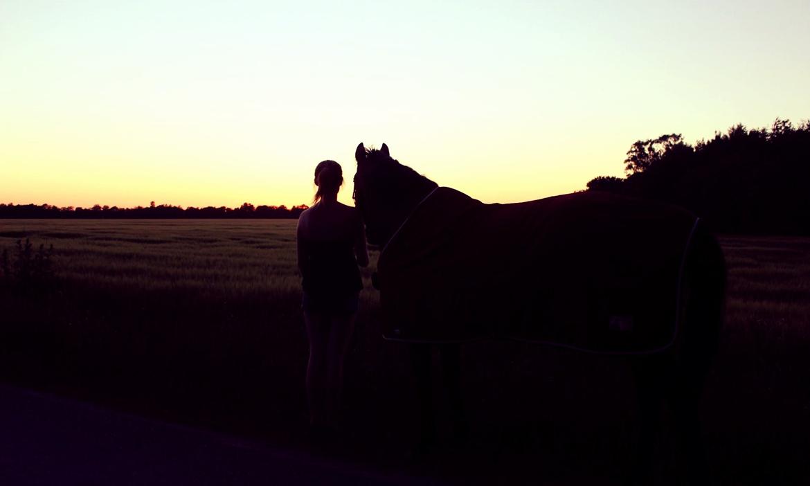 Pinto tell me -  mod solnedgang med bae ;) billede 15