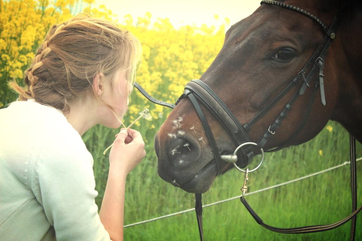 Pinto tell me - mussen <3 billede 1