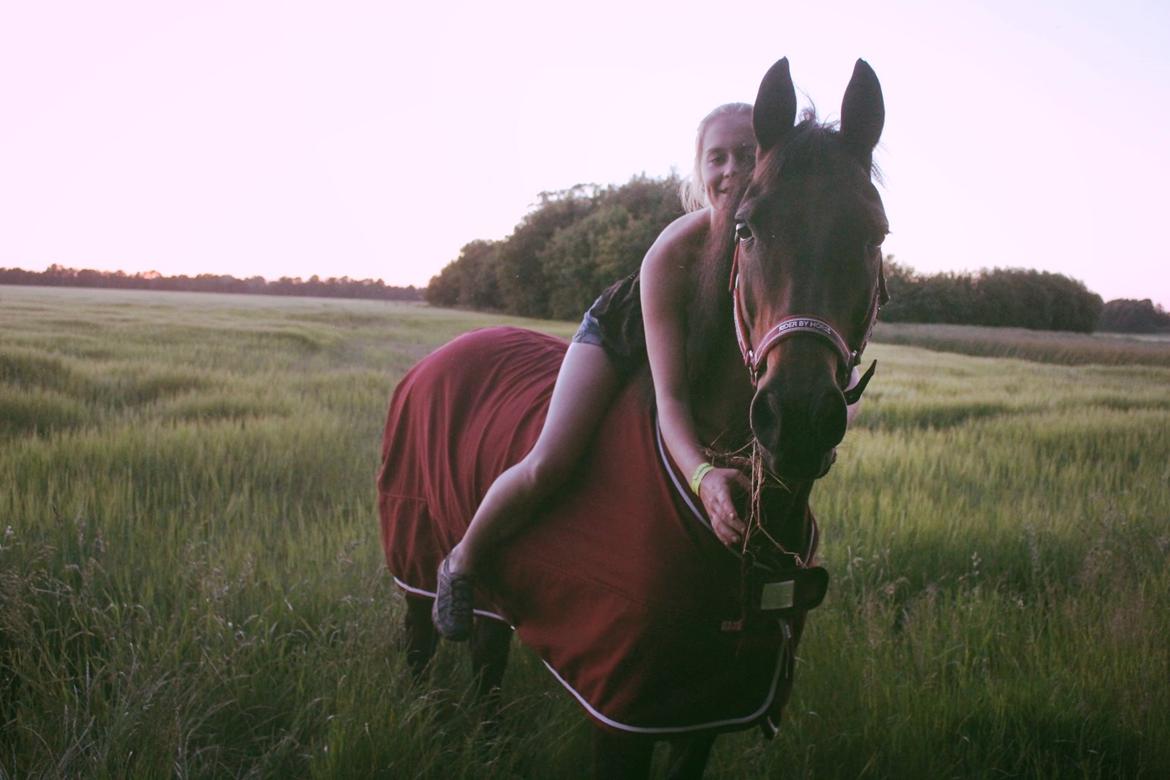 Pinto tell me - på tur kun i grime. <3  billede 16