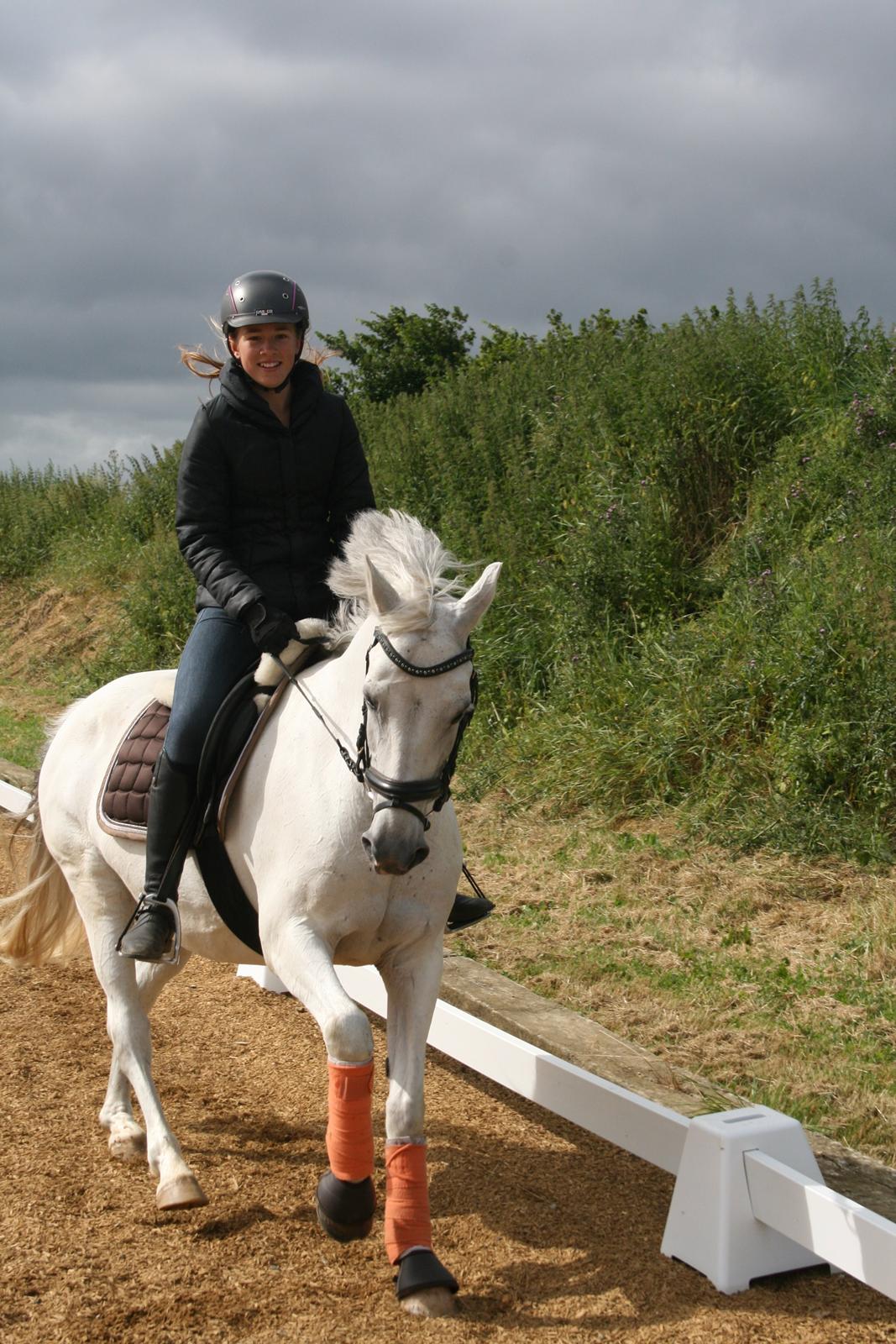 Anden særlig race Cirkeline *Tidligere lånepony* billede 12