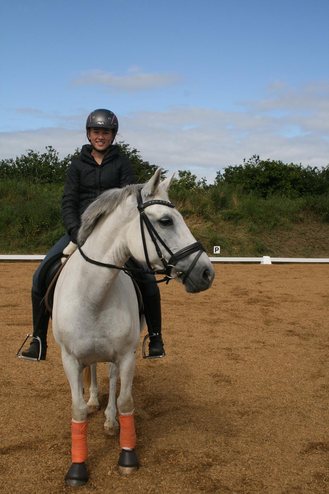 Anden særlig race Cirkeline *Tidligere lånepony* billede 14