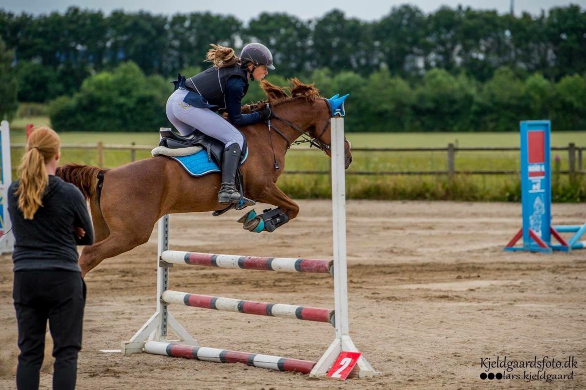 Tysk Sportspony Duchess [Heidi Vinderpony!] Solgt billede 24