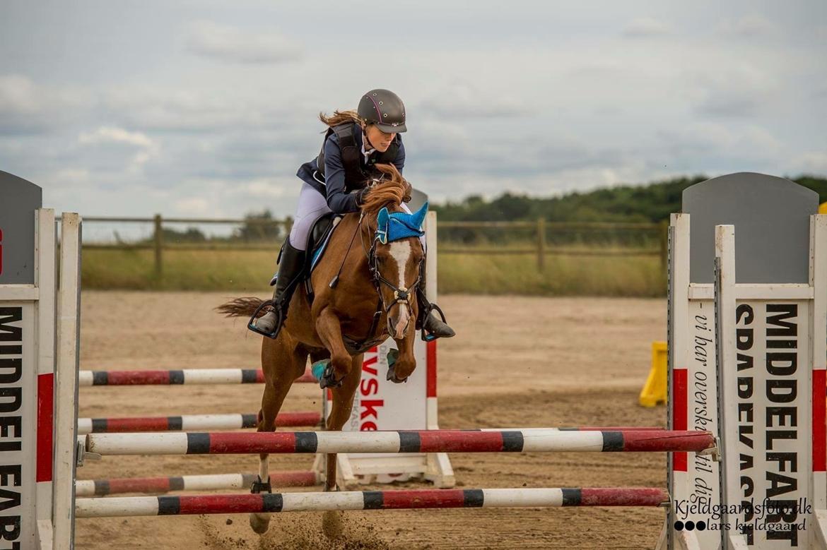 Tysk Sportspony Duchess [Heidi Vinderpony!] Solgt billede 23