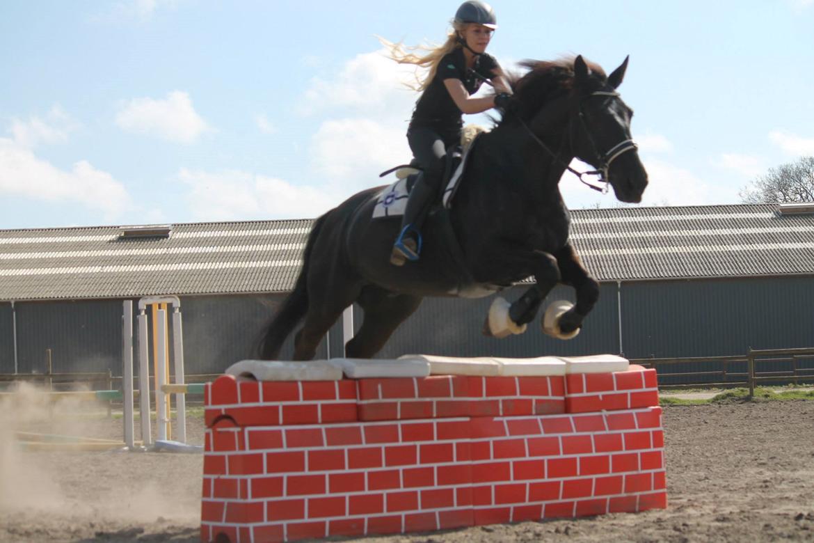 Oldenborg Asterix Pizziricco *MIN ENGEL<3* - April 2015 billede 50