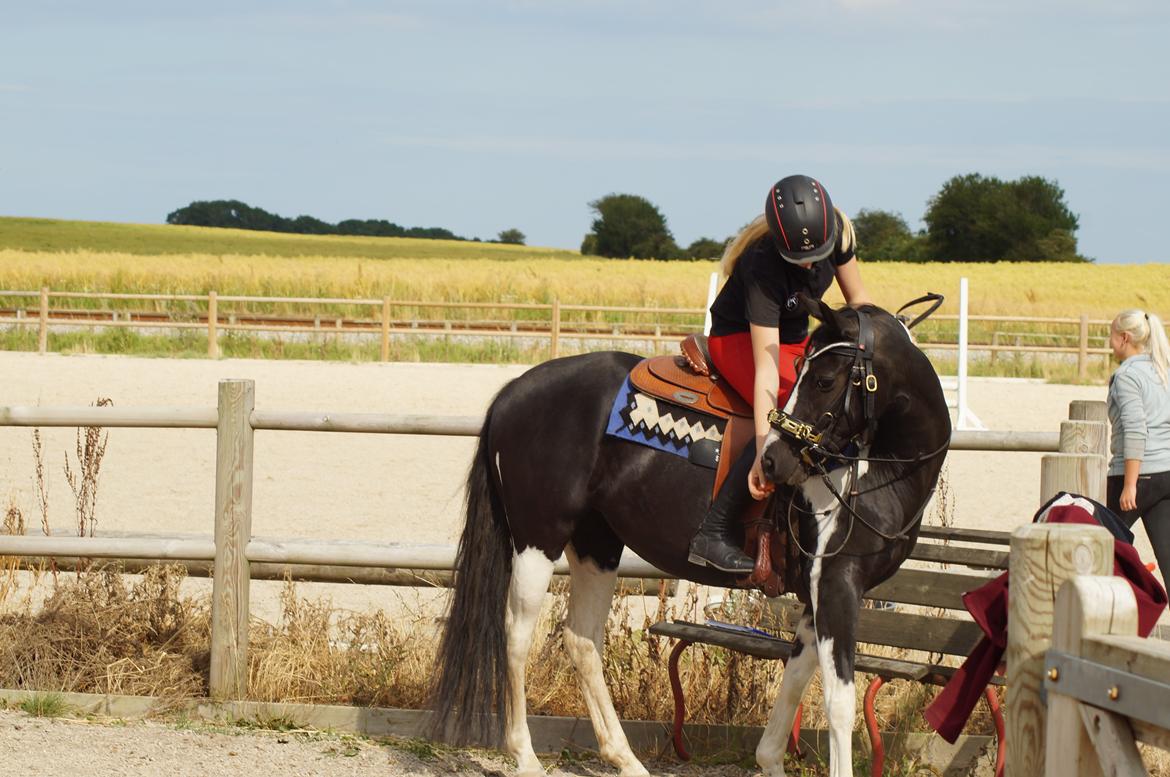 Paint Eskelunds Helga <3  - Min western pony <3 :D billede 26