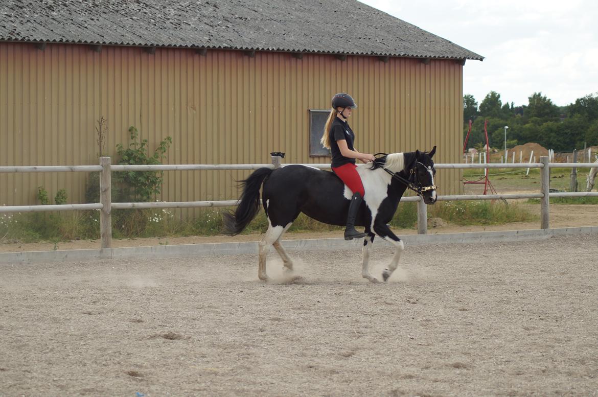 Paint Eskelunds Helga <3  billede 23