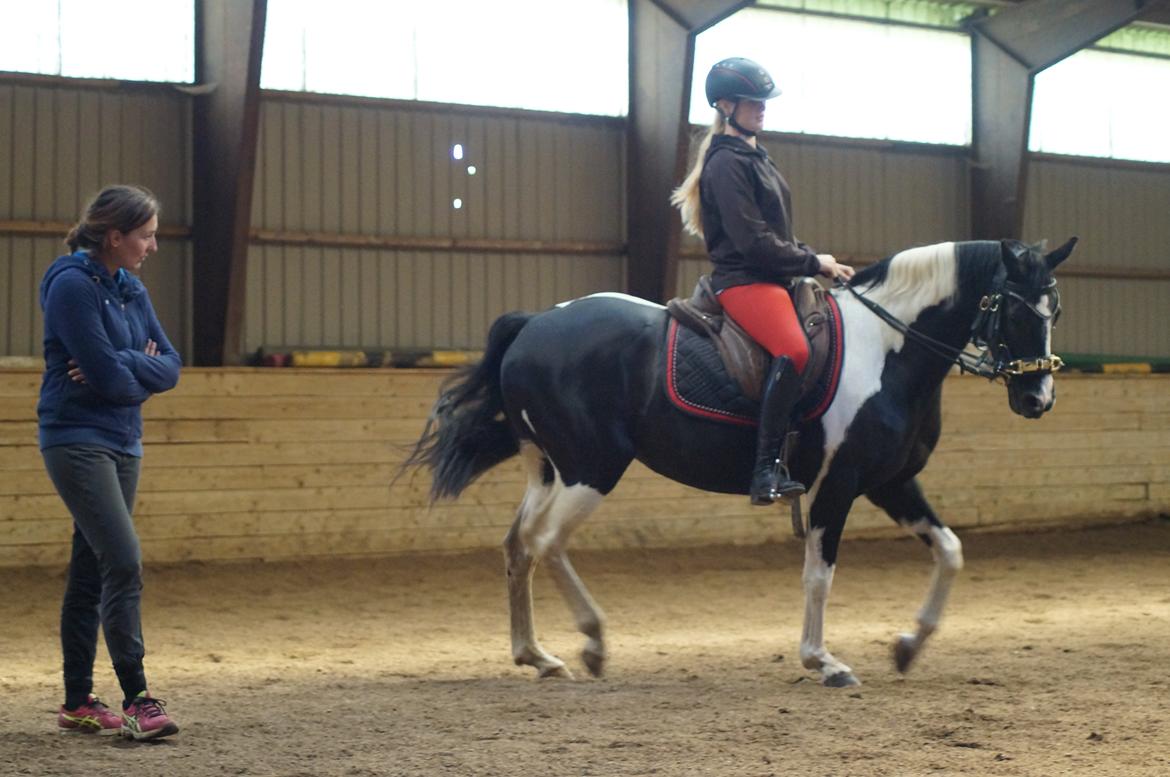 Paint Eskelunds Helga <3  - Undervisning med hutten  billede 20