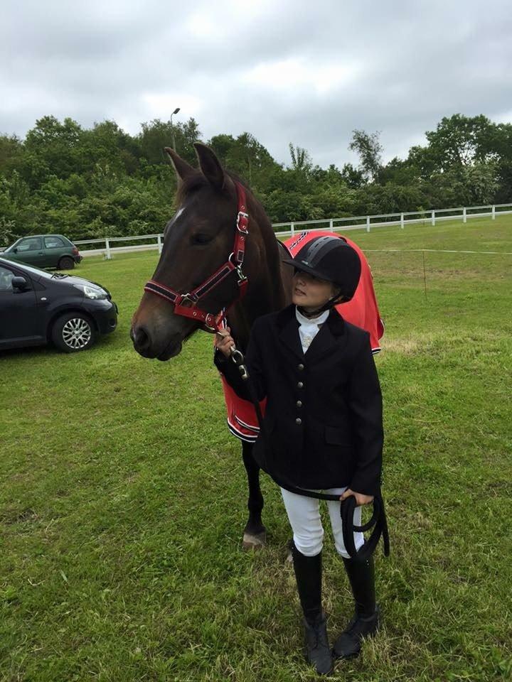 New Forest Fair Choice Paris billede 2