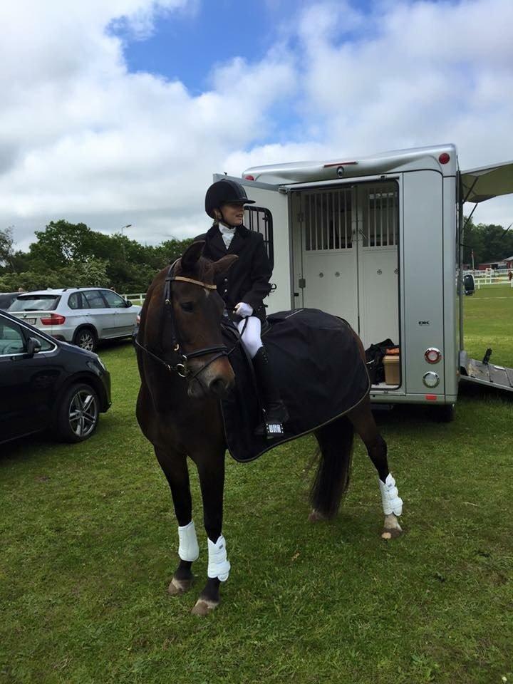 New Forest Fair Choice Paris billede 5