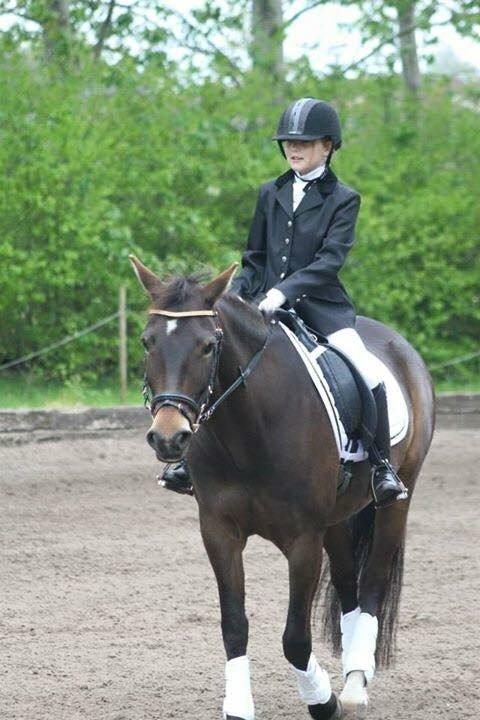 New Forest Fair Choice Paris billede 7