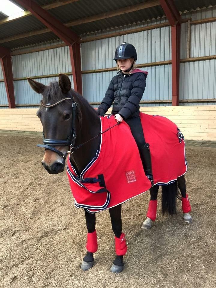 New Forest Fair Choice Paris billede 1