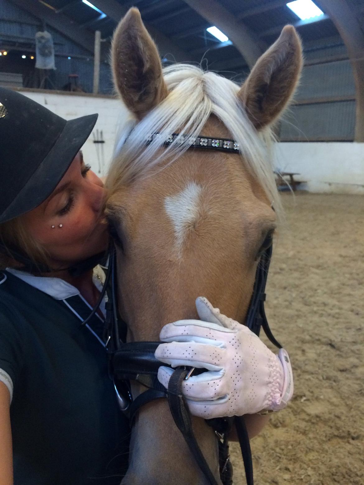 DSP Commendor billede 11