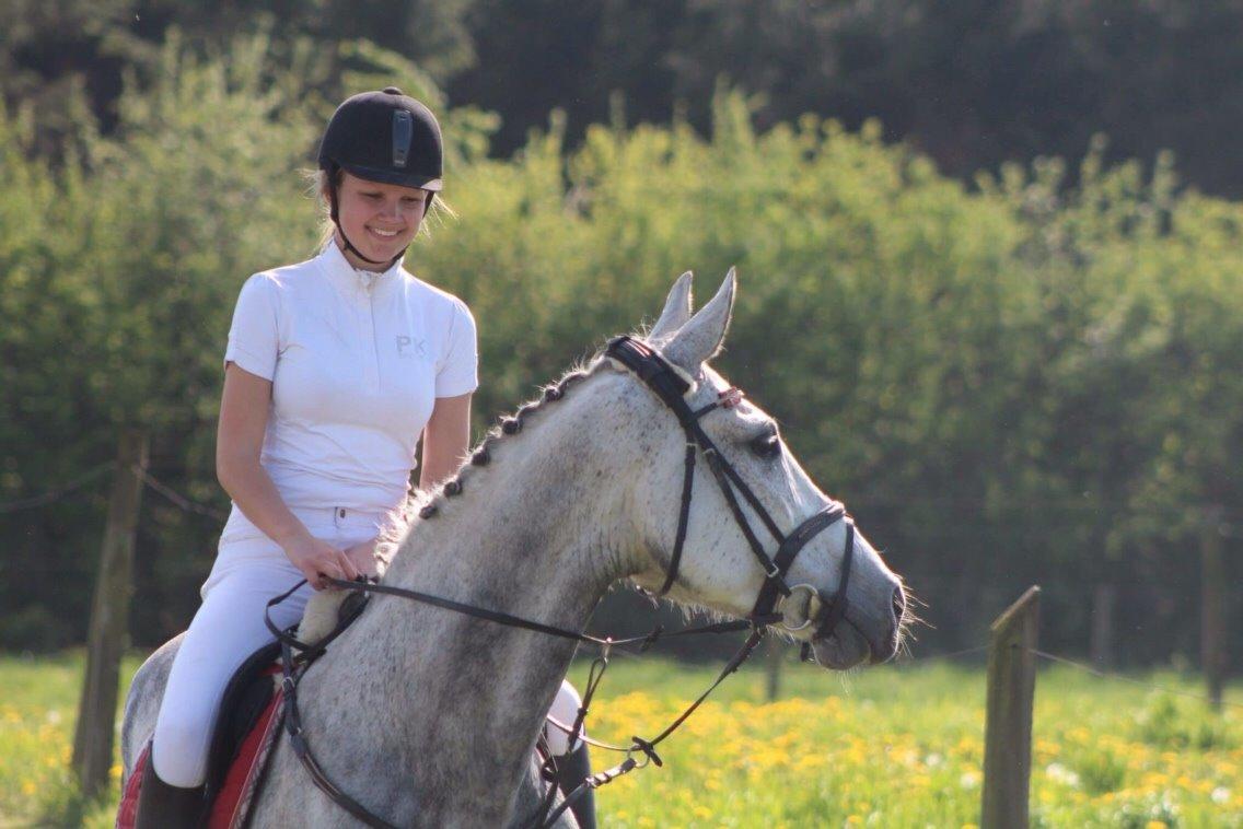 Holstener Zi-Zi billede 2