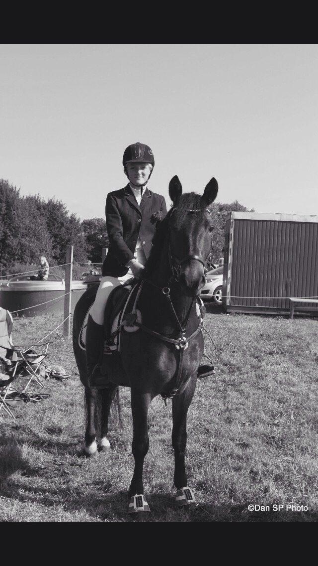 New Forest Hollballes campari billede 5