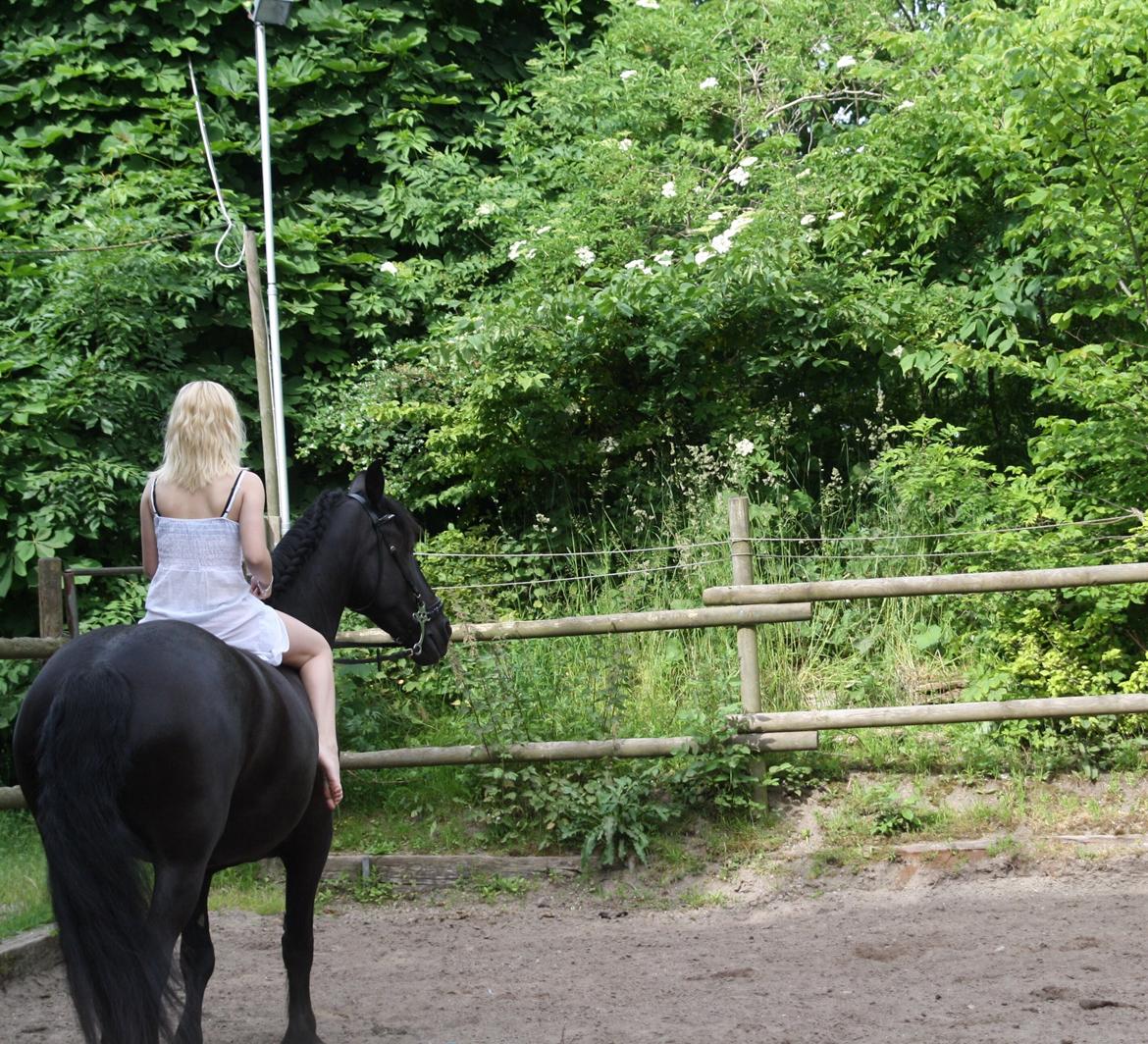Frieser Maaike Van Nieuw Vels - Smukke pony <3 billede 2