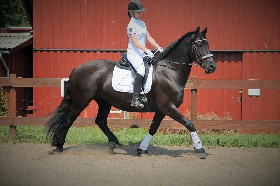 Frieser Maaike Van Nieuw Vels billede 4