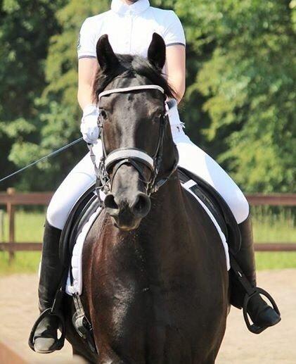 Frieser Maaike Van Nieuw Vels - Smuk <3 billede 1