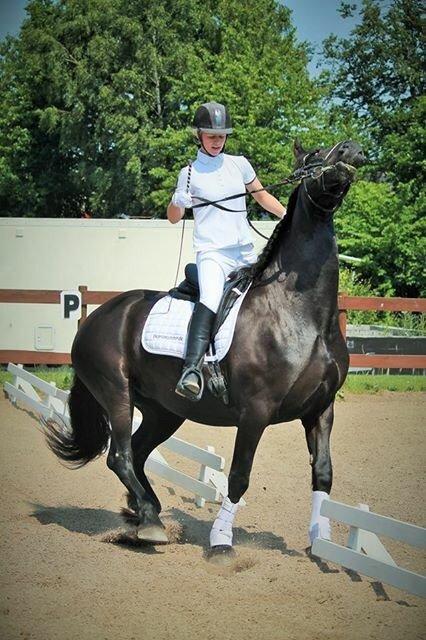 Frieser Maaike Van Nieuw Vels - Lama'en på vej ud over hegnet under programmet :P fjollde ponze <3 billede 5