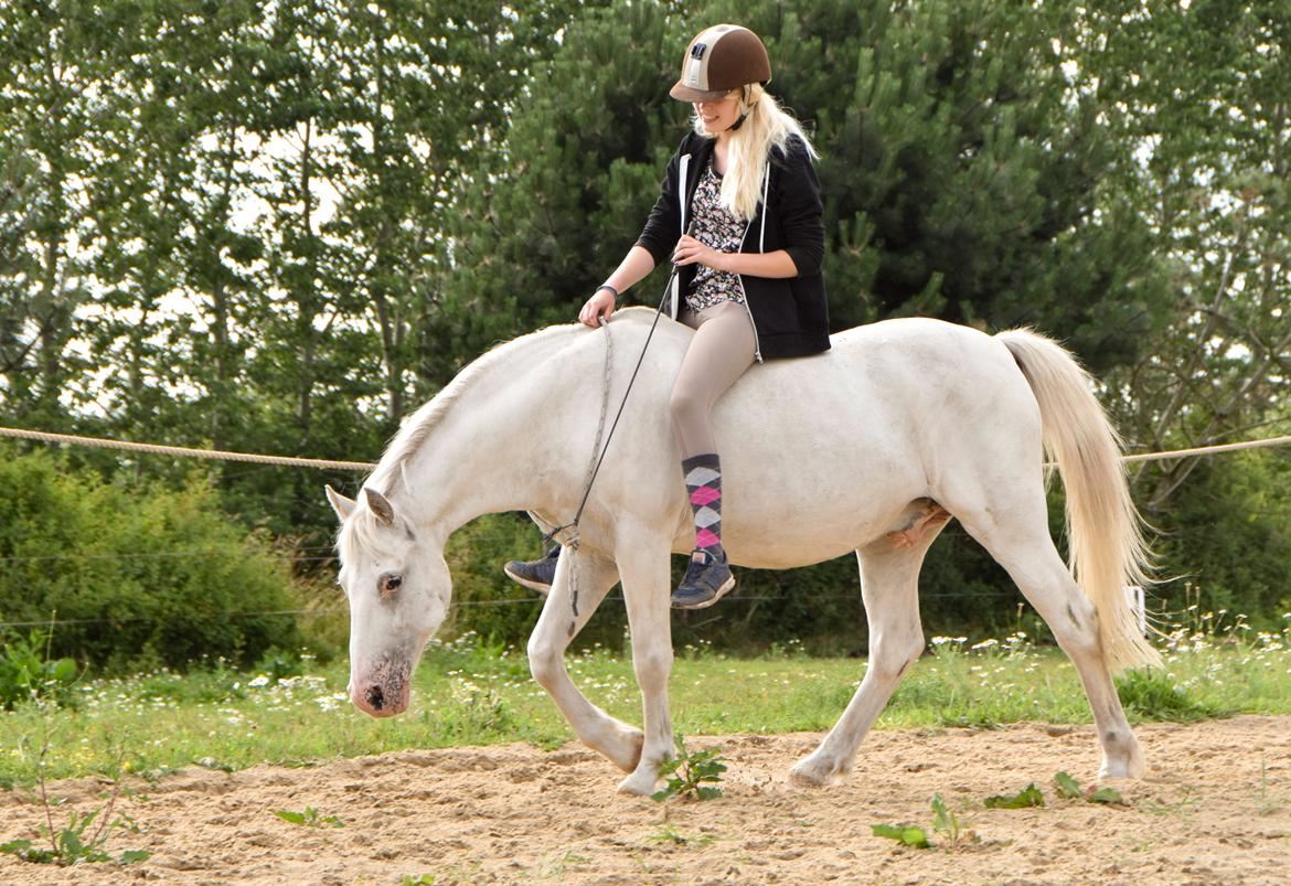 Anden særlig race Peter Plys - Sommer 2015 billede 2