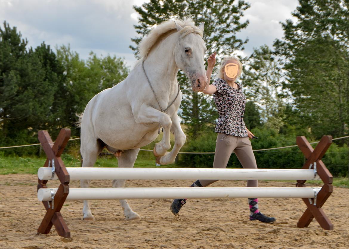 Anden særlig race Peter Plys - Sommer 2015 billede 17