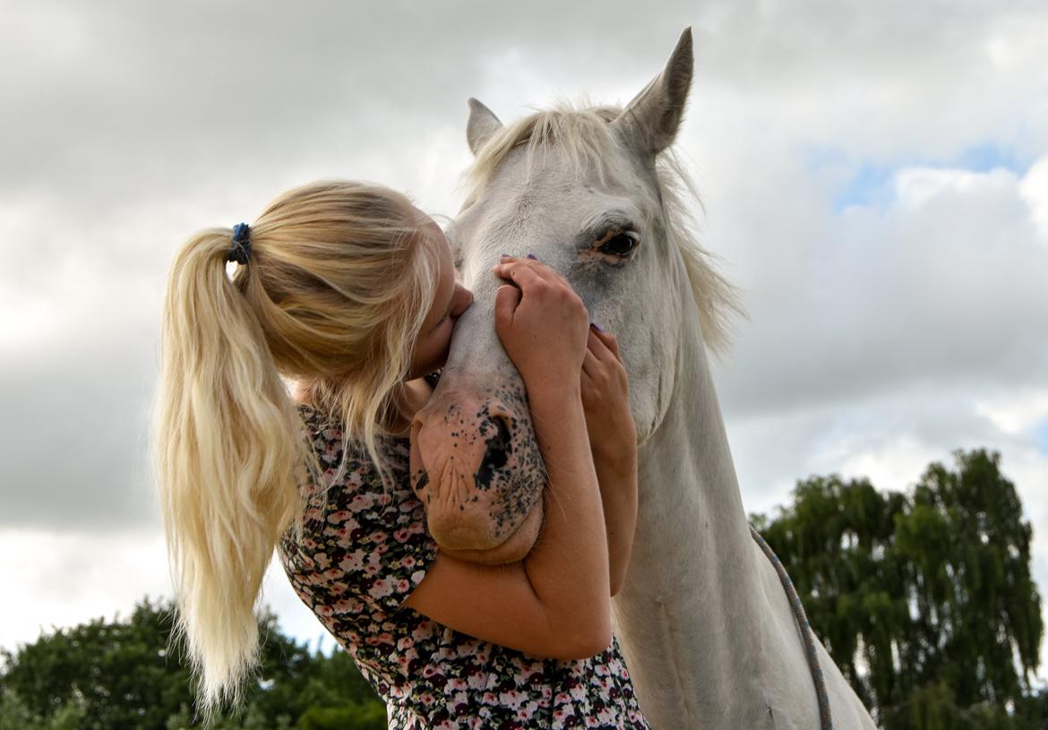 Anden særlig race Peter Plys - Sommer 2015  billede 20