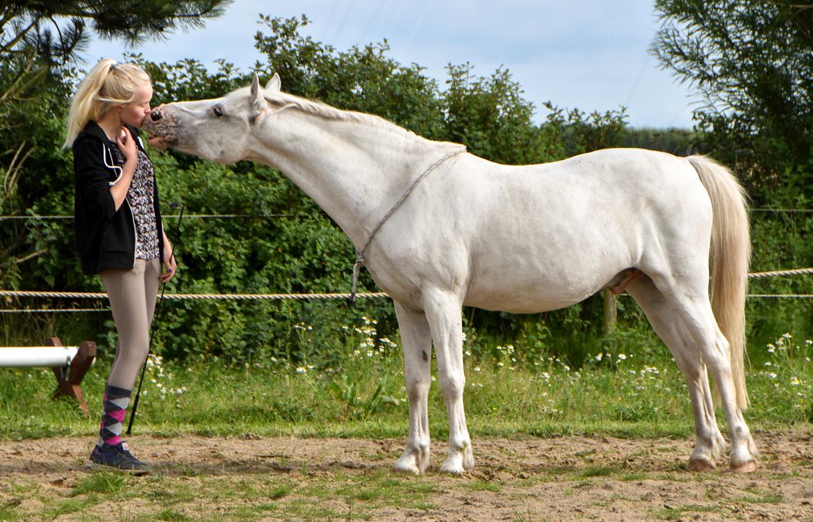 Anden særlig race Peter Plys - Sommer 2015 billede 8