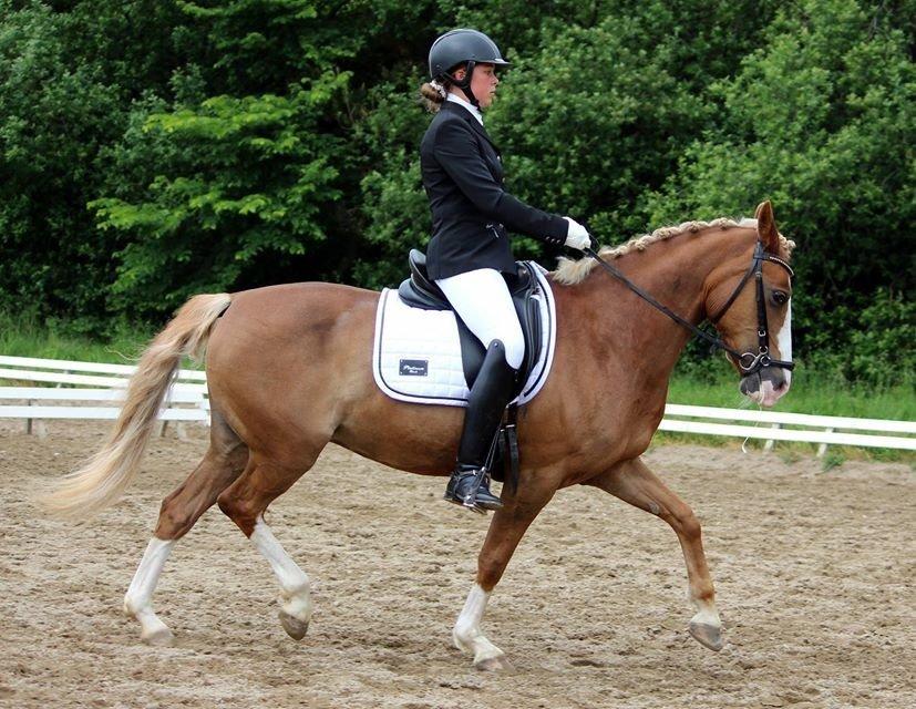 DSP Zita A. M billede 16