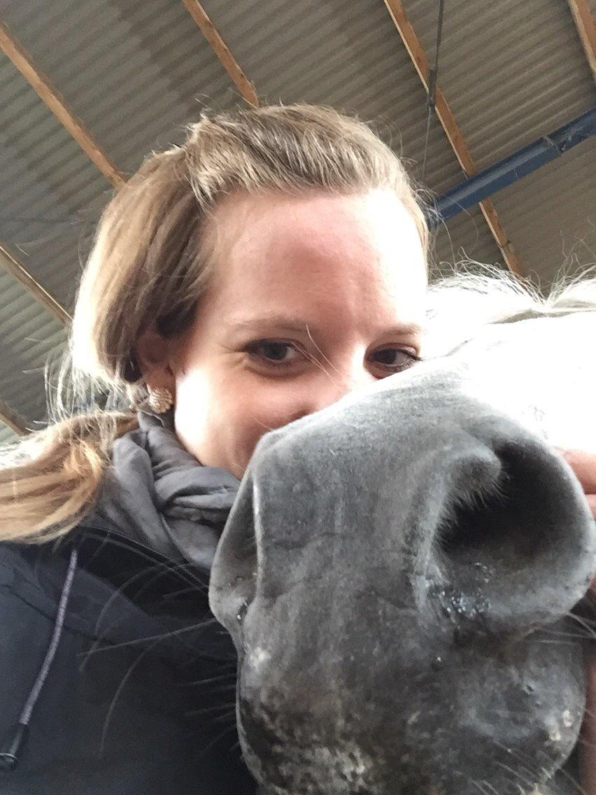 Anden særlig race Tulle billede 13